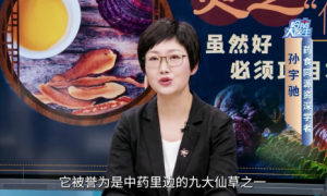 从低谷到杏林之光：孙老师与现代扶正疗法的传奇