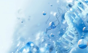 北京神州国天科学技术以顶尖智库，赋能生命健康创新探索