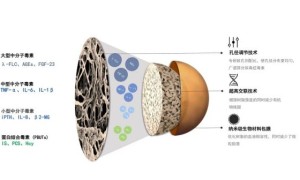 从源头定制清毒方案：健帆全血灌流如何精准实现血液净化？