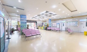 2026年华南地区输卵管复通手术服务模式与机构实践观察